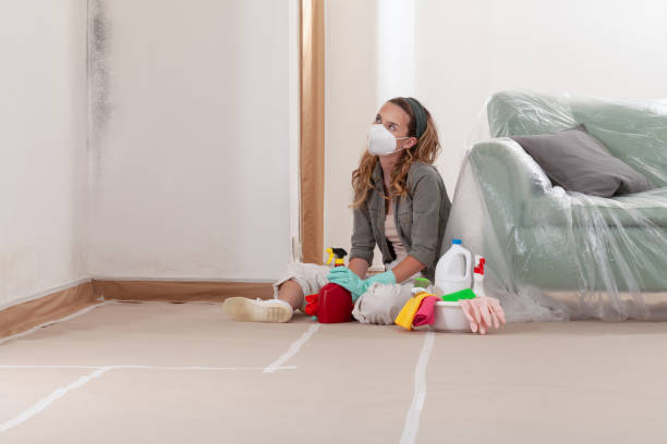 Reliable Basement Mold Removal contractor in Bayonne, NJ by WQB Mold Removal